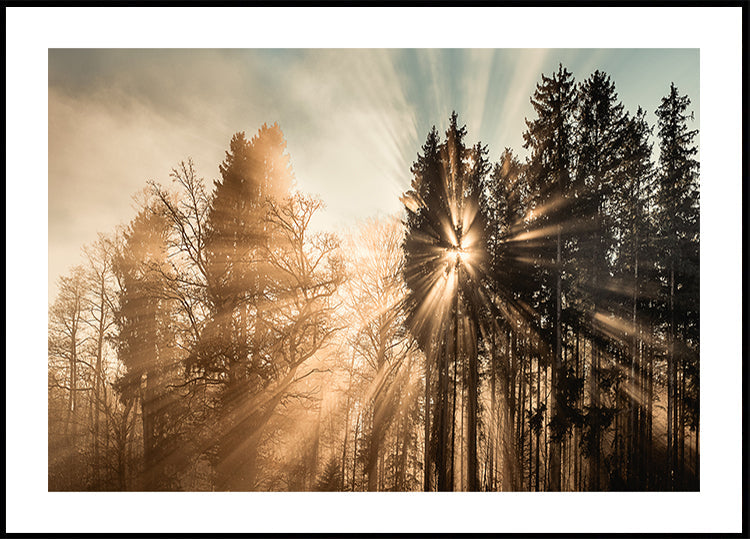 Verblassendes Poster