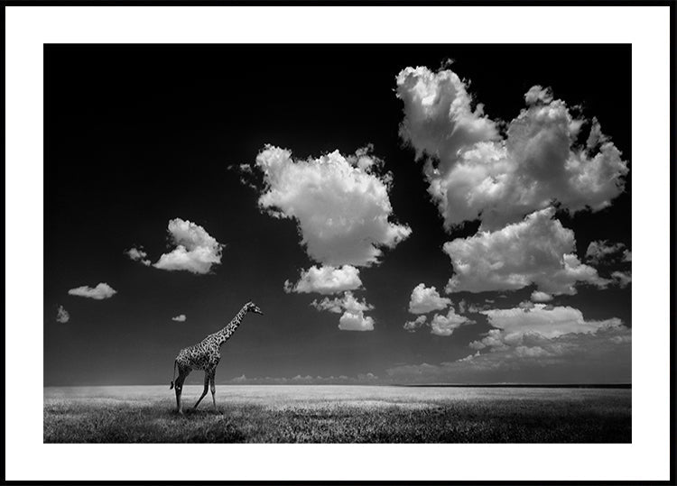 Mit den Wolken verschwunden