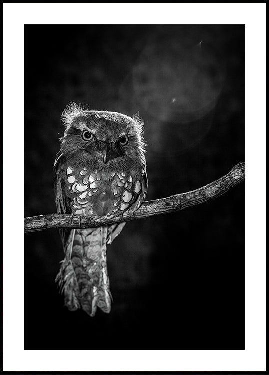 Allein in der Nacht Poster