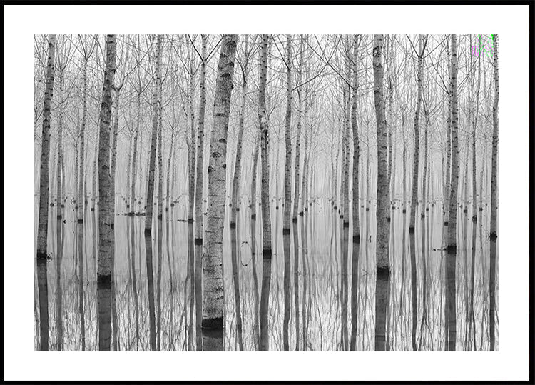 November 2014 Poster Poster Poster Poster Poster