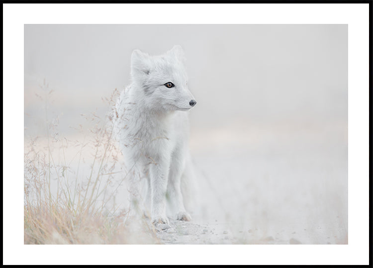 Sich umschauen Poster