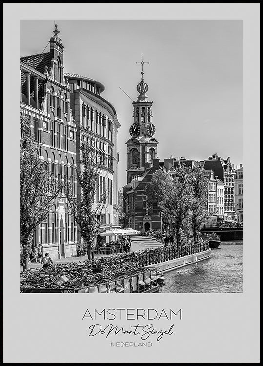 Im Fokus: AMSTERDAM De Munt Poster