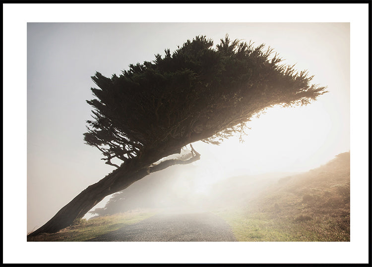 Poster „Gekippter Baum“ - Posterbox.dk