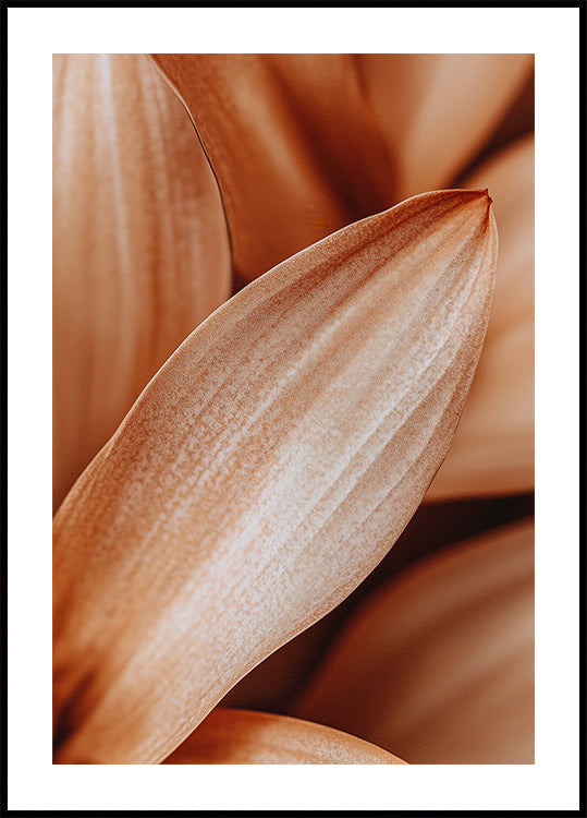 Bernsteinblüten-Eleganz