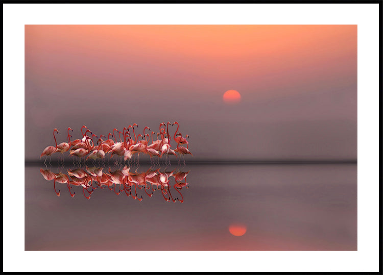 lila Sonnenuntergang