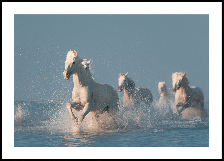 Engel der Camargue-Plakat