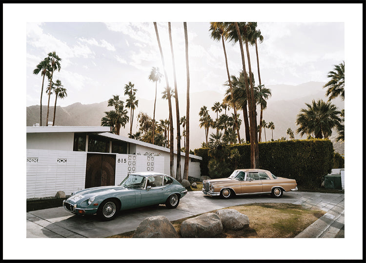 Retro-Autos in Palm Springs Poster - Posterbox.dk