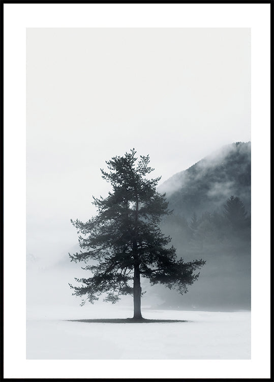 Poster „Einsame Kiefer im nebligen Feld“ - Posterbox.dk