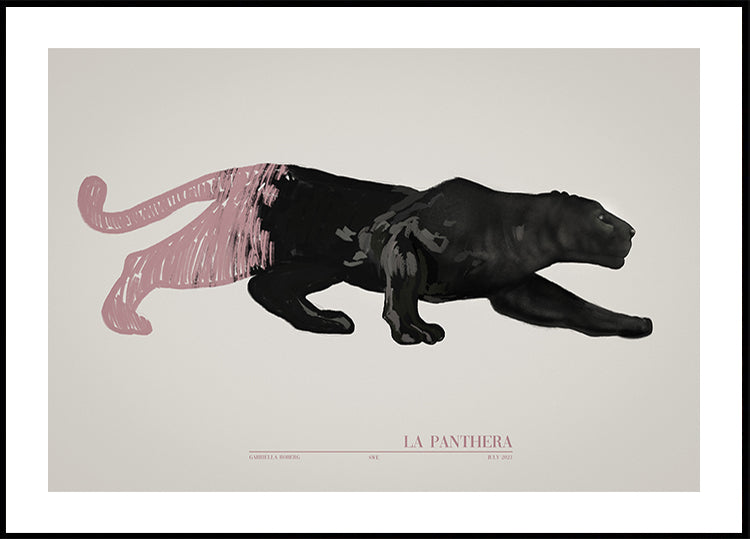 La Panthera (rosa)