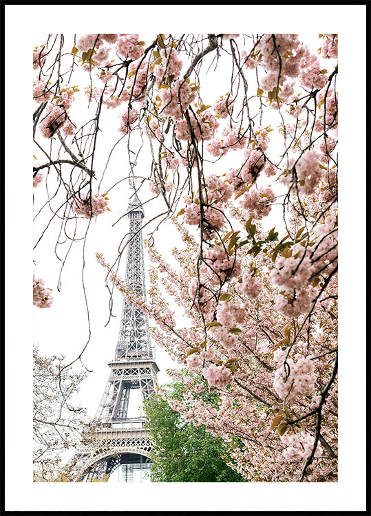 Frühlings-Eiffelturm mit Kirschblüten-Poster