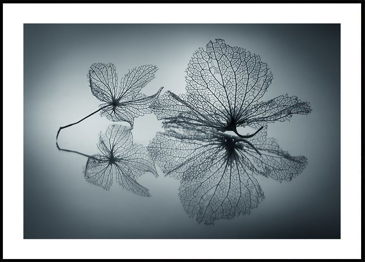 Vergängliche Schönheit