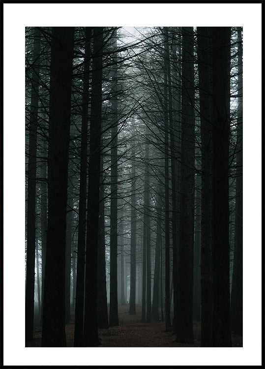 Dunkler Wald Poster - Posterbox.dk