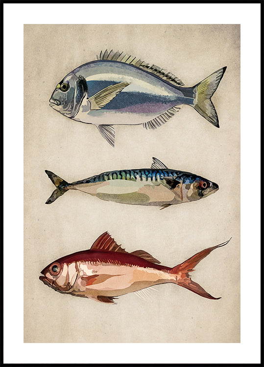 Trio des Meereslebens