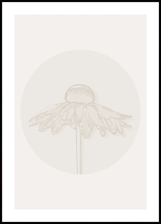 Gaillardia Bloom, botanisches Line-Art-Poster
