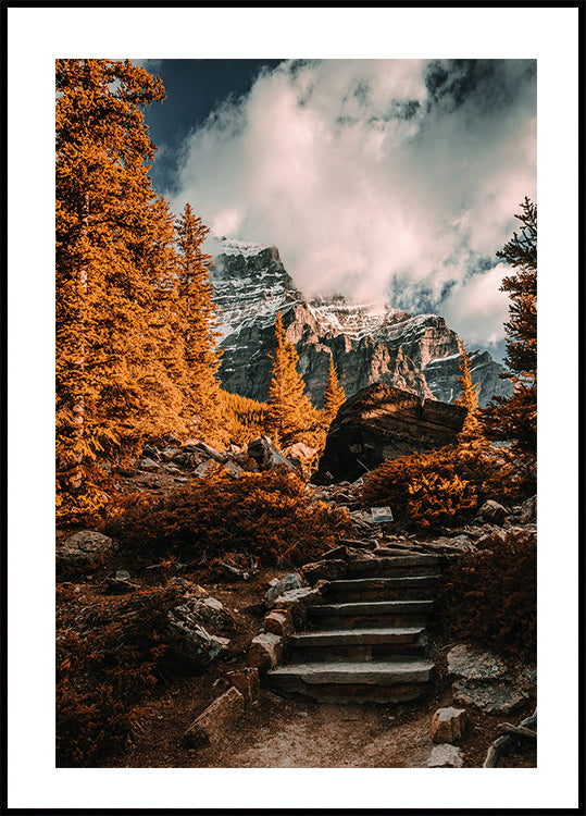 Herbstliches Wildnis-Poster - Posterbox.dk