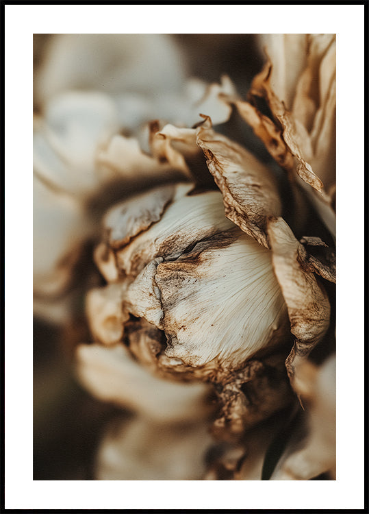 Flüsternde Blütenblätter