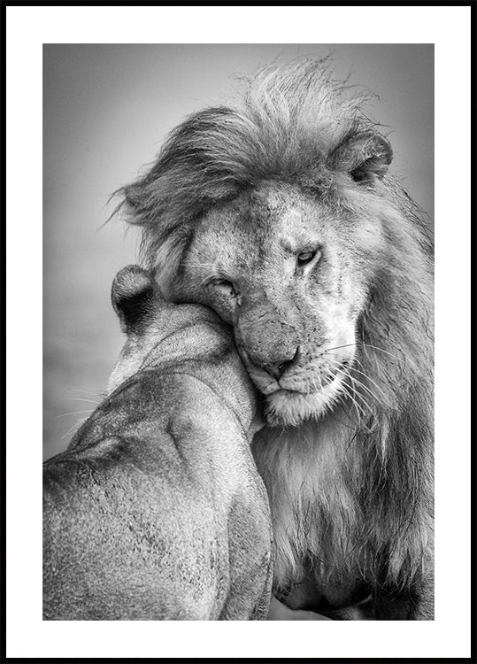 Afrikanische Liebe! Poster