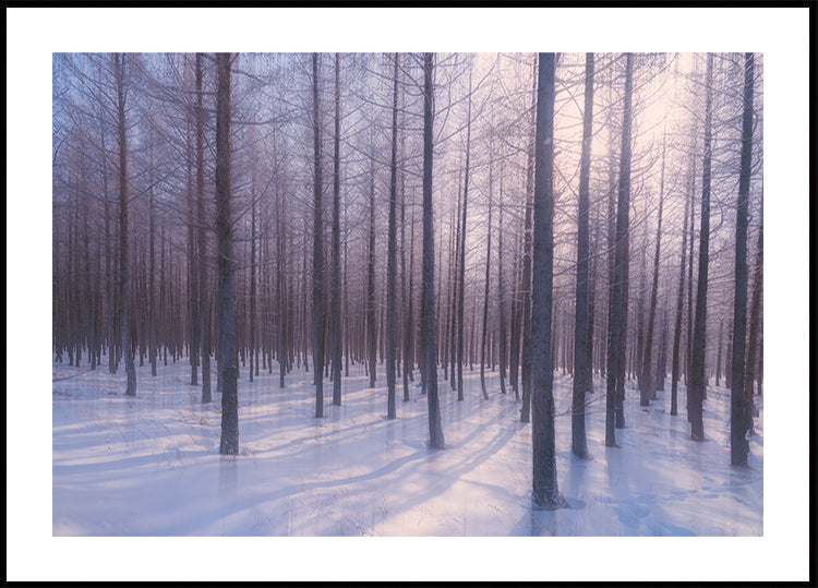 Stilles Wintersymphonie-Poster