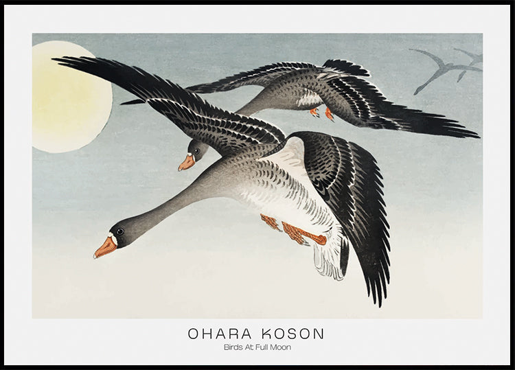 Vögel bei Vollmond von Ohara Koson Poster - Posterbox.dk