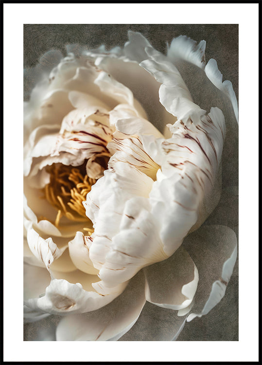 Blütenblätter der Gelassenheit