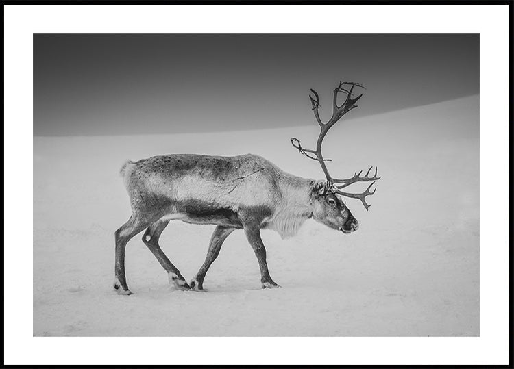 Allein im arktischen Ödland Poster