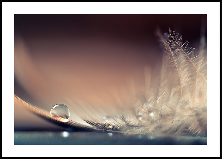 Geschichten von Tropfen