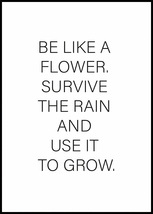 Wie eine Blume Poster - Posterbox.no