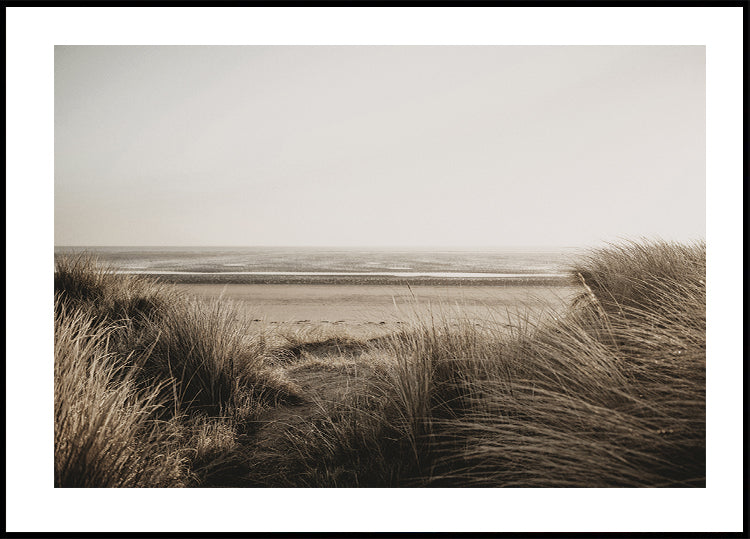 Blick auf den Strand hinter dem Gras Poster - Posterbox.dk