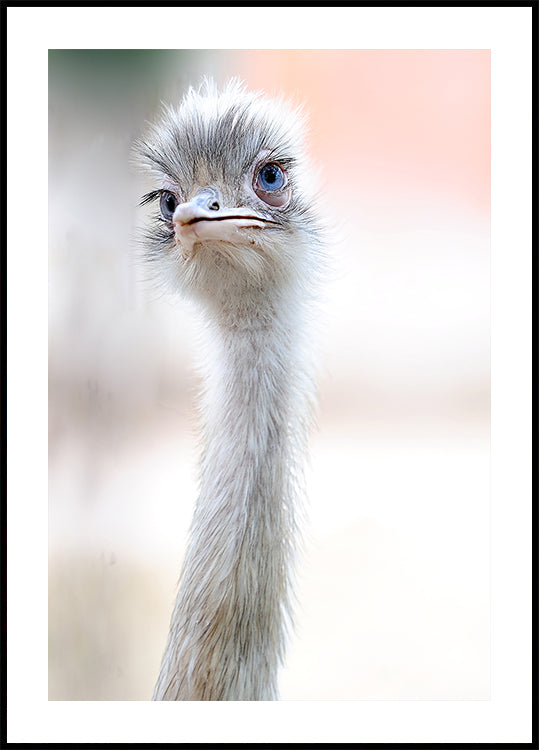 natürliche Schönheit