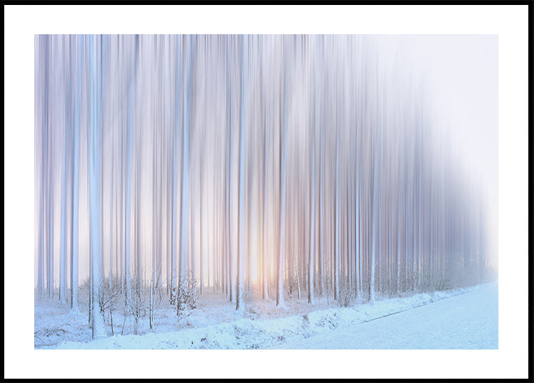 Poster „Ein Vorhang aus Bäumen“.