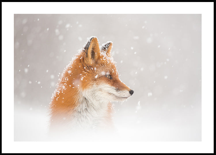 Es fällt Schnee... Poster