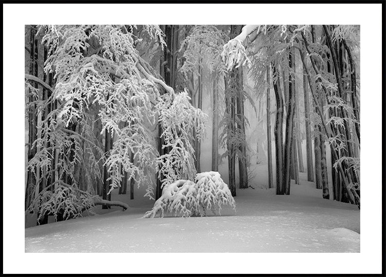 Perfektes Winterposter