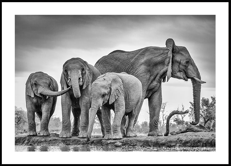 Ein riesiges Einheitsplakat