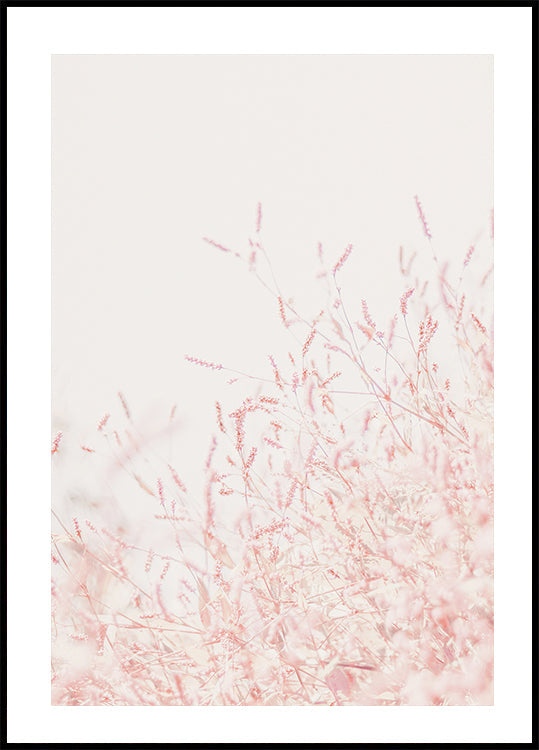 Gras-Poster - Posterbox.dk