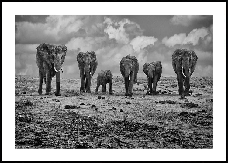 Großes Familienplakat
