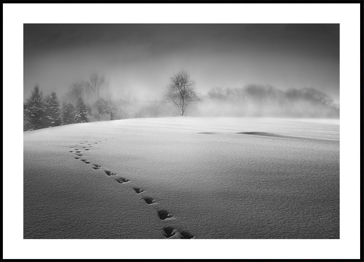 Winterlandschaftsplakat