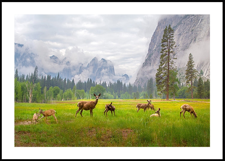 Ein Gefühl der Antike Poster