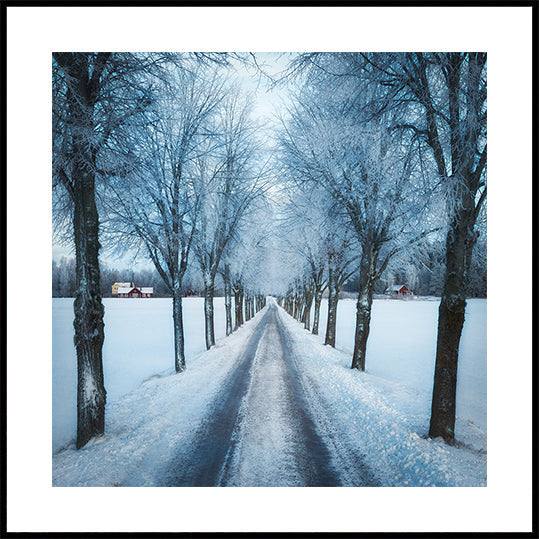 Schwedische Winterplakate