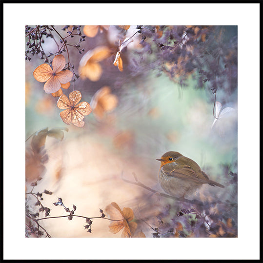 Hortensien-Fantasie-Poster