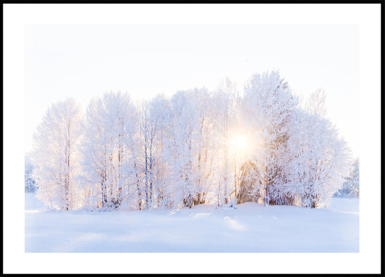 Das Licht kehrt zurück Poster