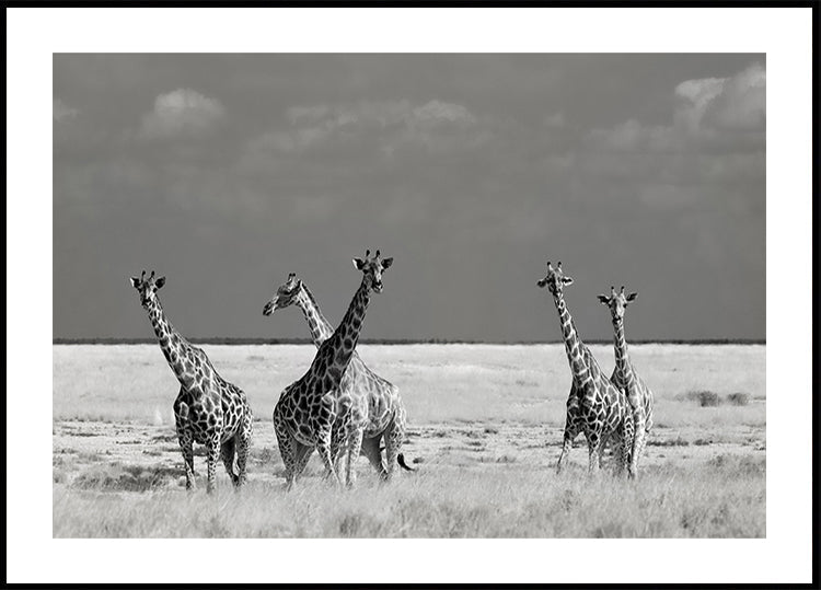 Schau, Mädchen, seltsame Tiere