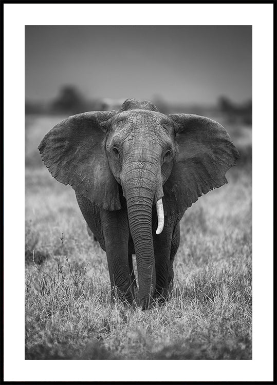 SINGULARITÄT Poster