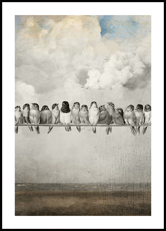 All the Pretty Birds Poster