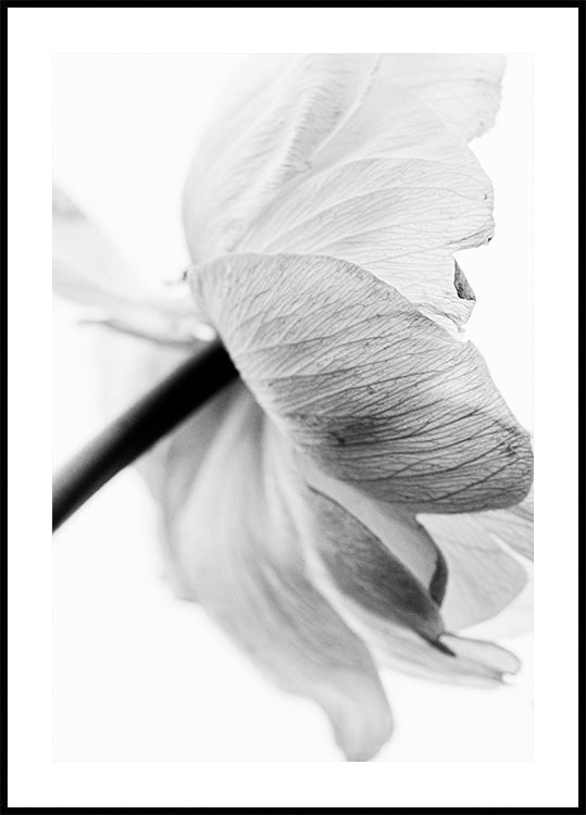 Blühendes Blumenplakat