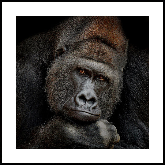 EIN MOMENT IN KONTAKT Poster