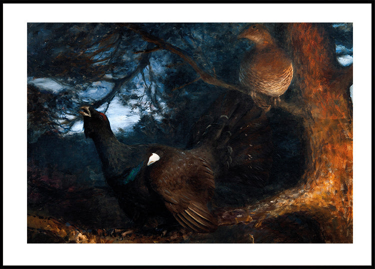 Die Paarung der Auerhühner von Bruno Liljefors Poster - Posterbox.dk