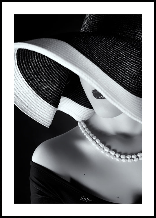 Eleganz im Schatten-Poster