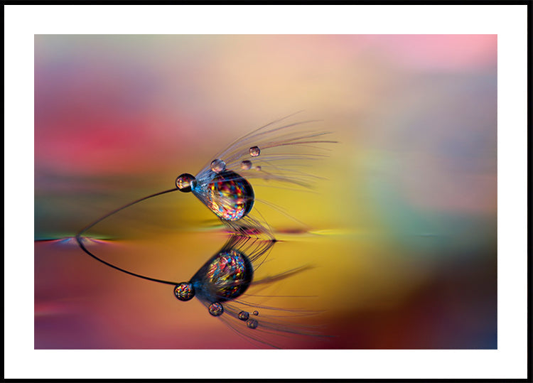 Färben Sie die Dunkelheit