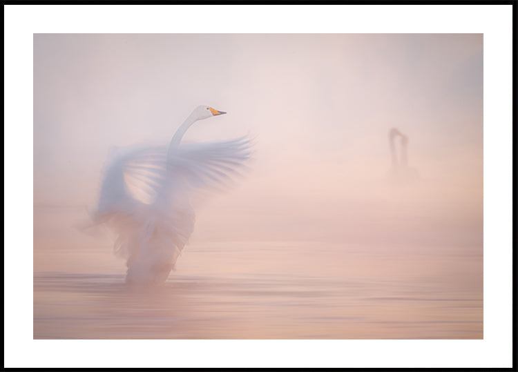Die Vergänglichkeit der fernen Liebe... Poster