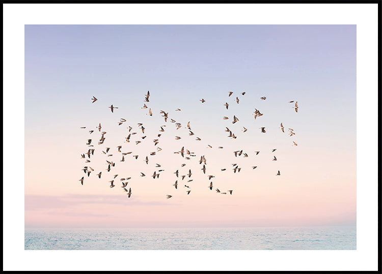 Poster zum Sonnenuntergangsflug